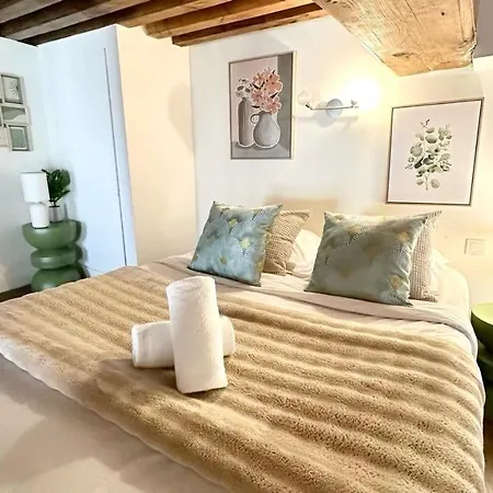 Belfort 2 Bedrooms Croix Rousse *